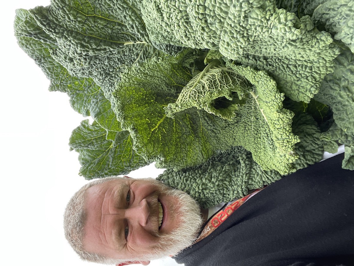Tony with a giant savoy cabbage